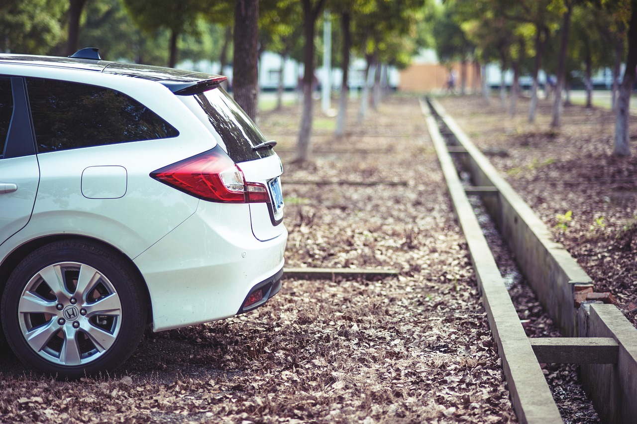 东风汽车股票行情分析与股价走势探讨，今日最新动态解读