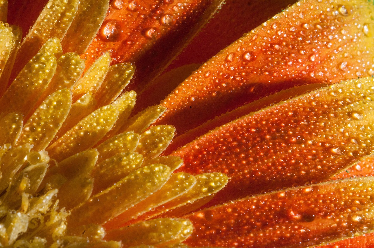 揭秘四月郑州市环翠路最新动态更新