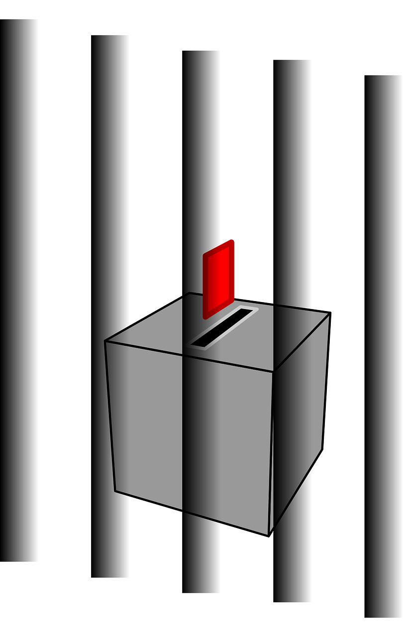 最新4月籽棉报价与市场动态分析
