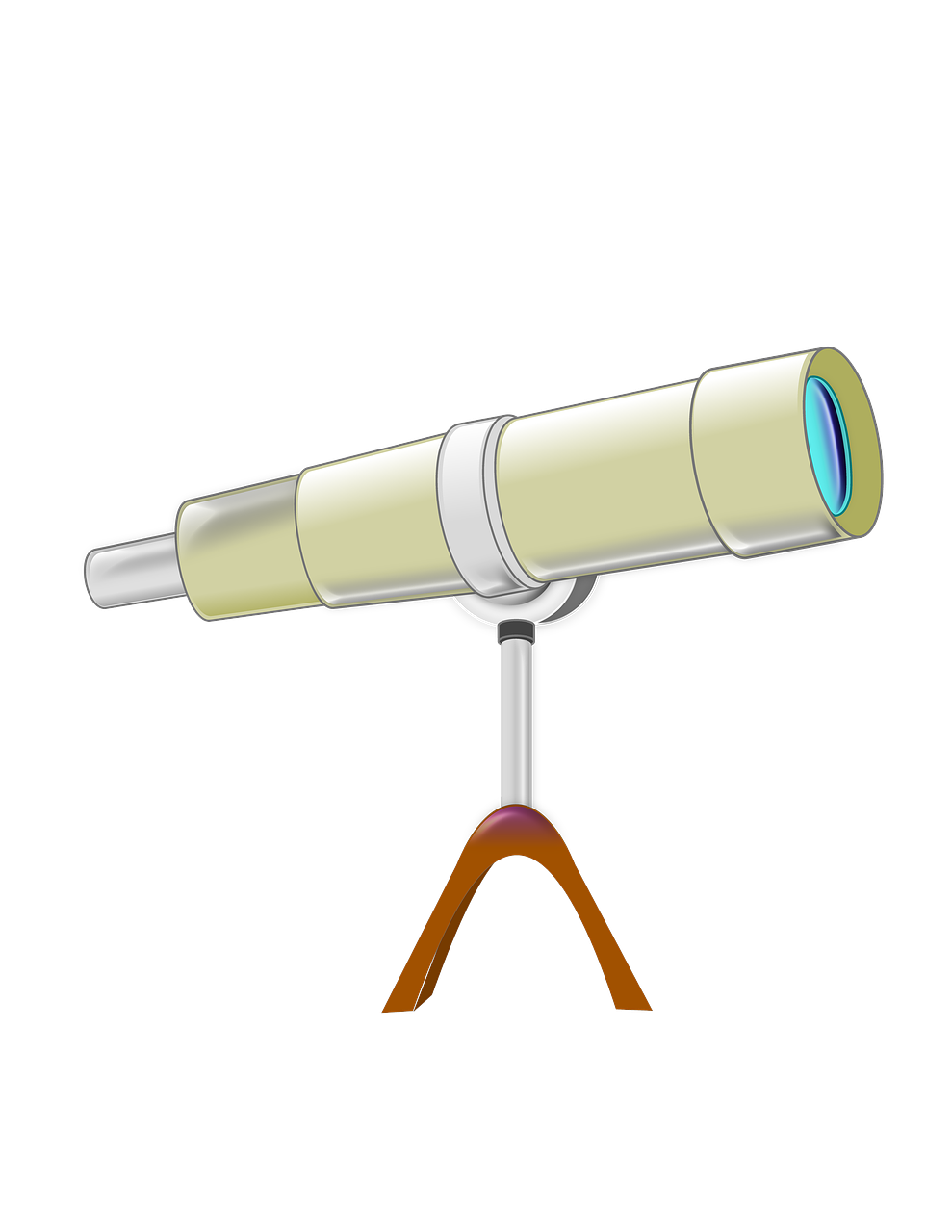 四月猪瘟动态解析与应对策略,全面观察与行动指南