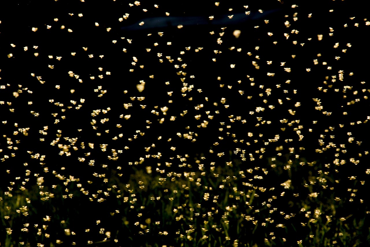 济南棚改四月进展与未来展望,最新棚户区改造动态揭秘