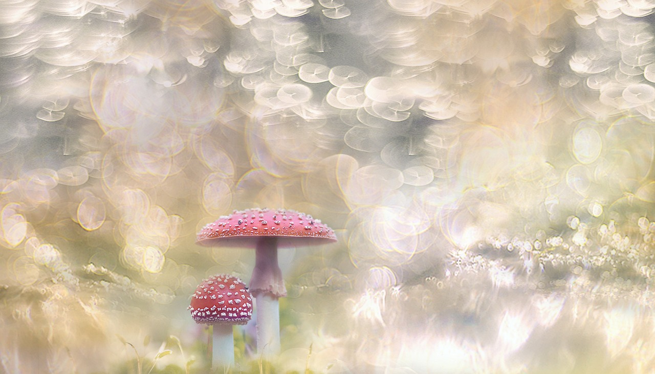 四月新疆最新疆情动态概览