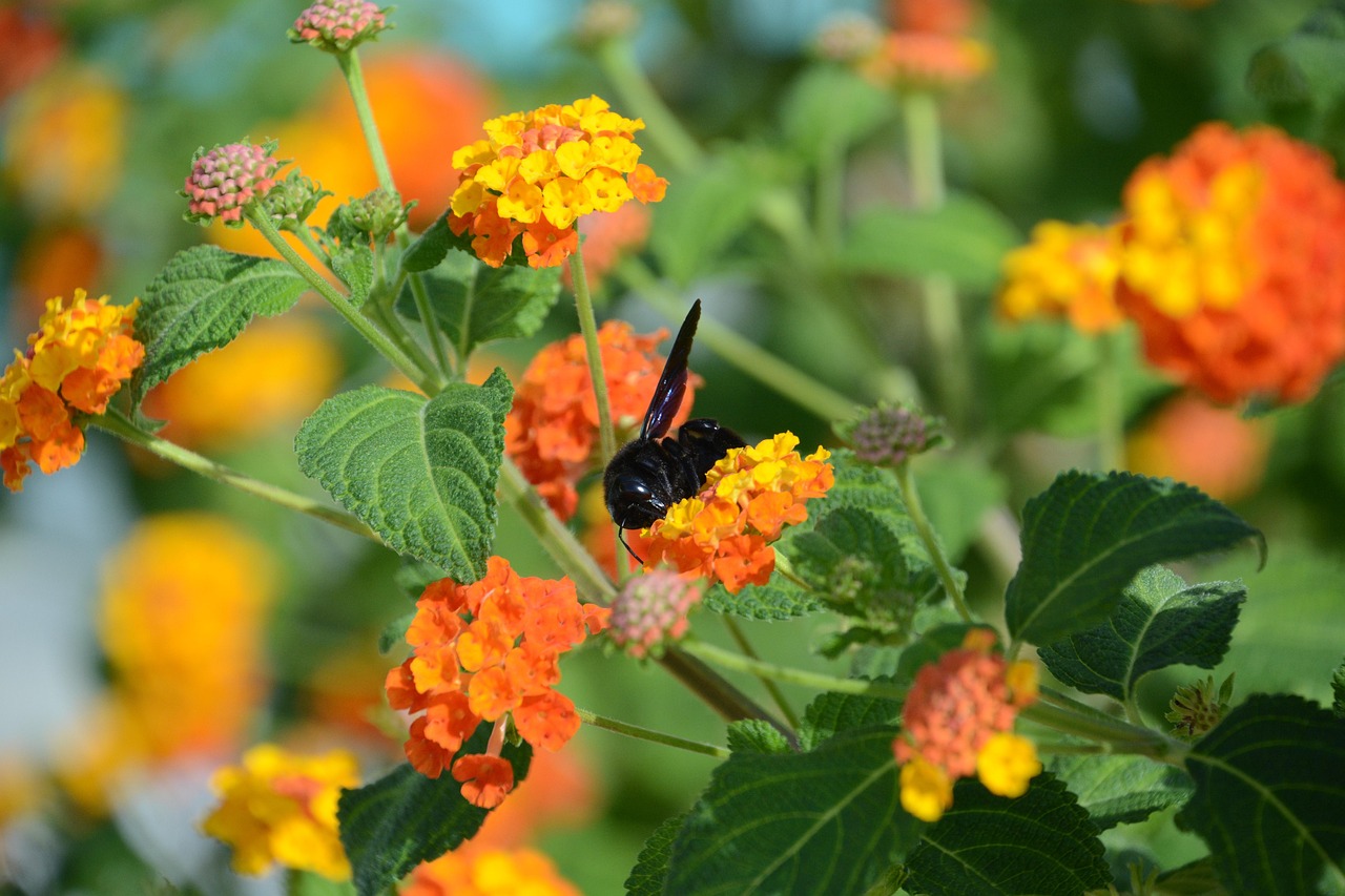 四月楼市概览，最新毛楼动态速递