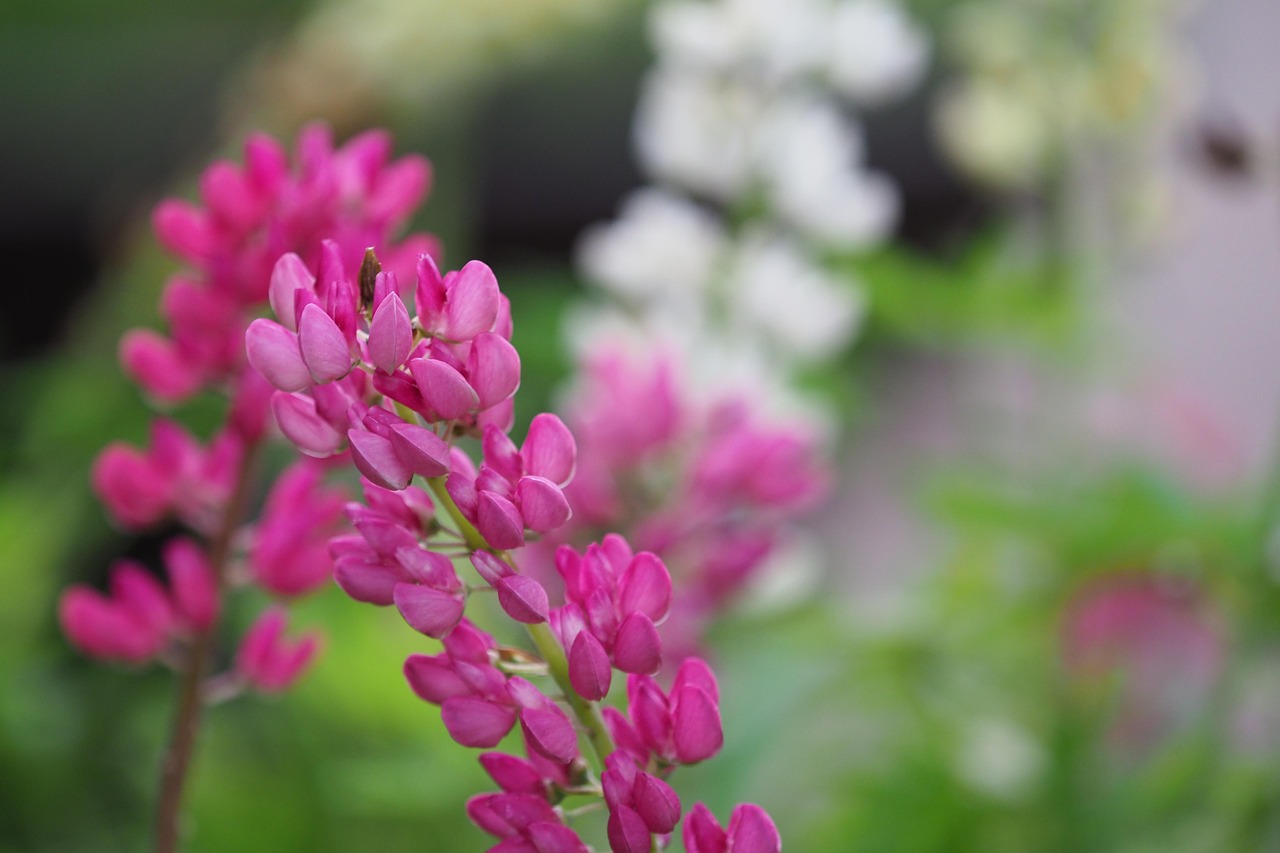 四月份露天煤业股票最新动态关注焦点，市场动态与行业消息更新