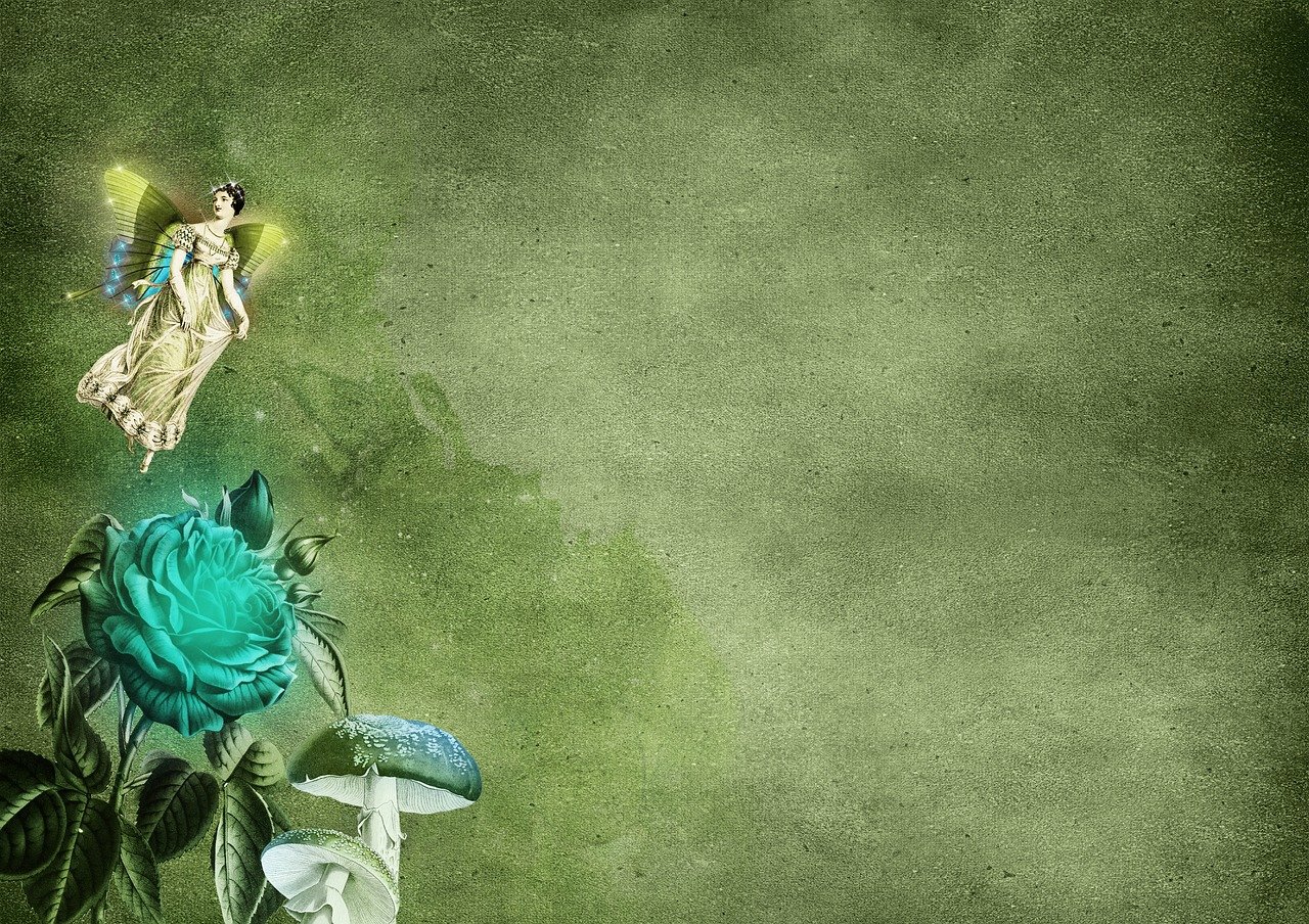 五月小动漫，奇幻之旅探索魅力世界