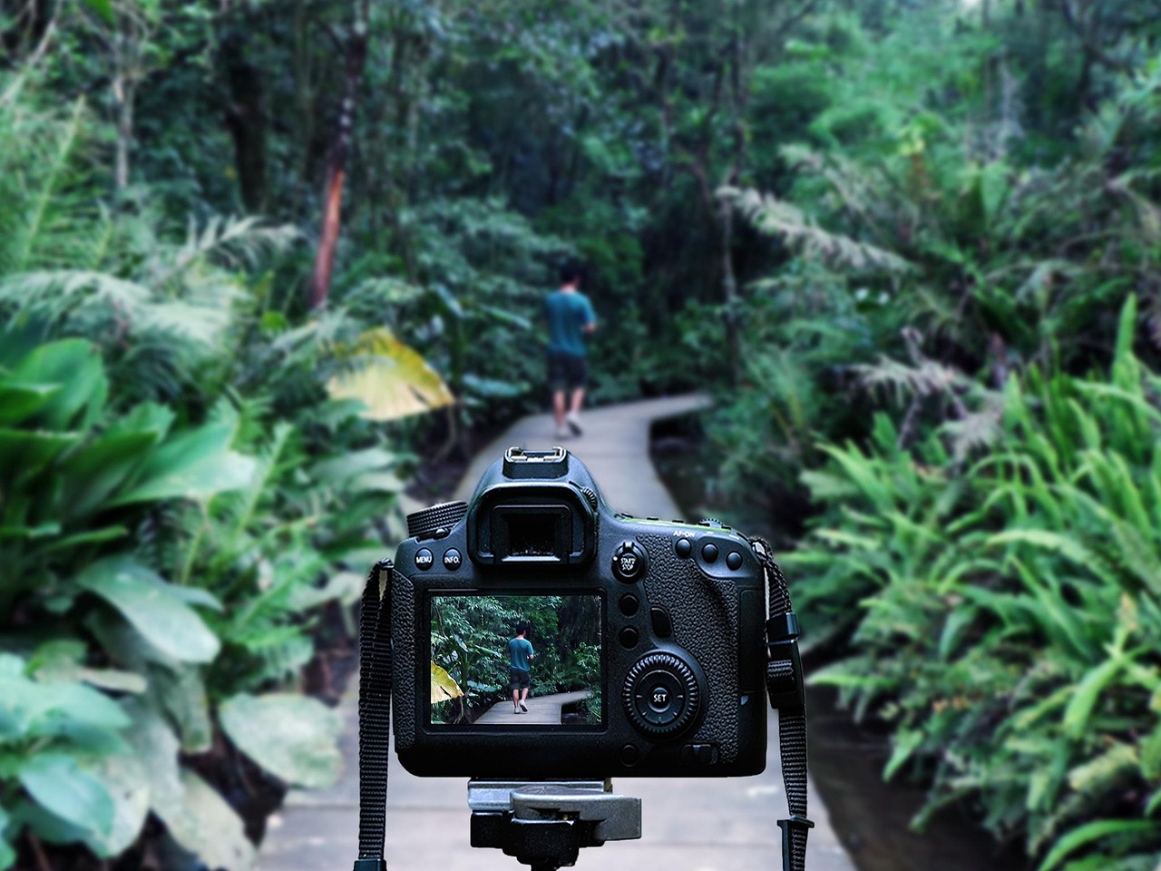 五月流川枫热血篮球之旅的最新动态