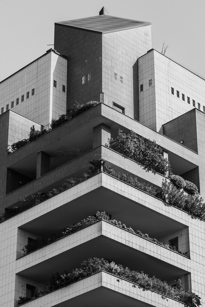 五月共青城大学城最新动态概览