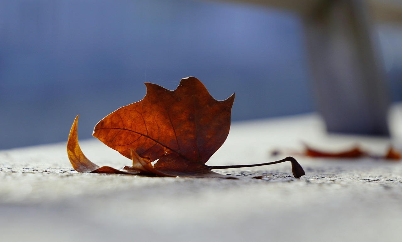 五月双河水库最新动态，进展、影响与展望