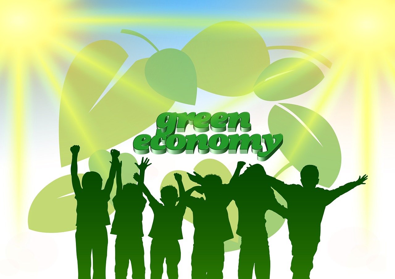 五月森林最新资讯，生态、科技与保护同步发展