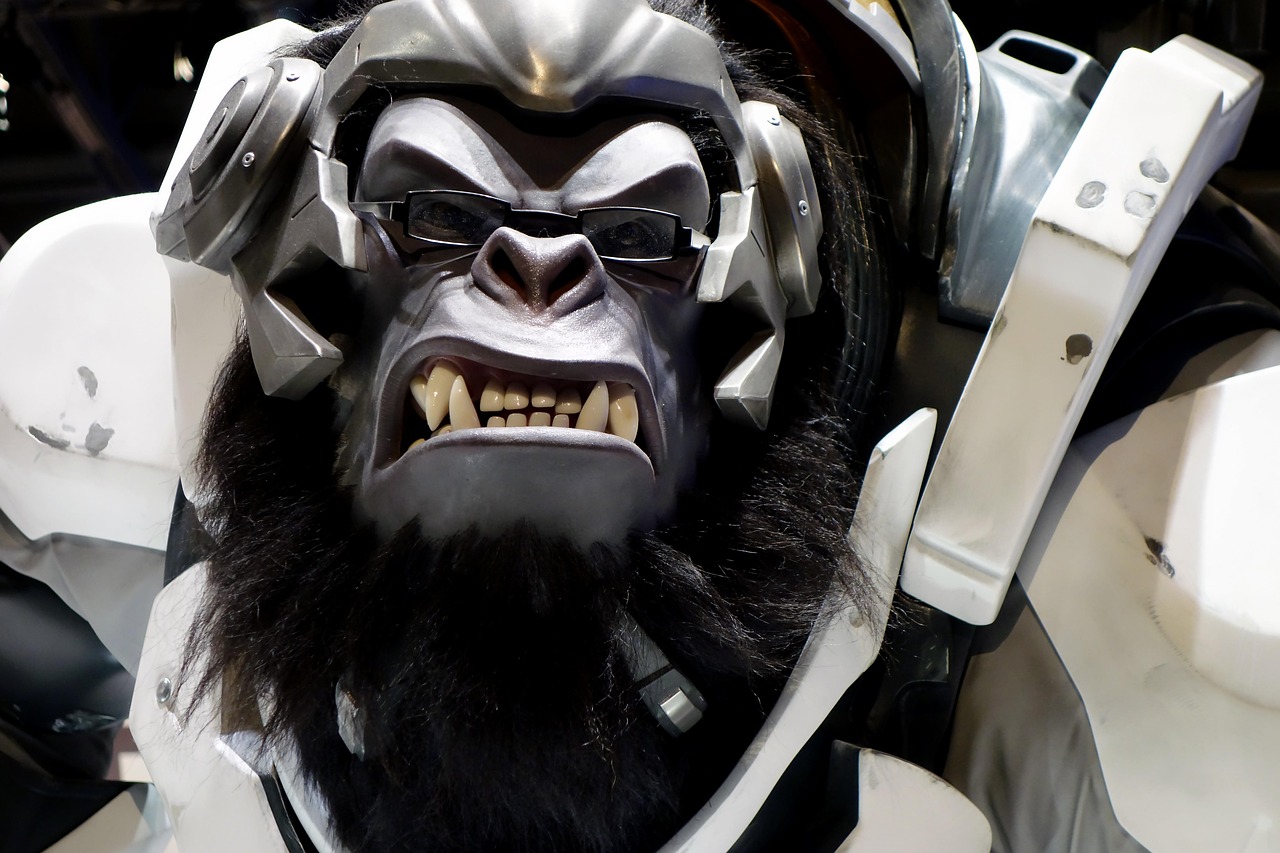 五月最新赵信游戏视频解析与心得分享，深度解读与玩家交流