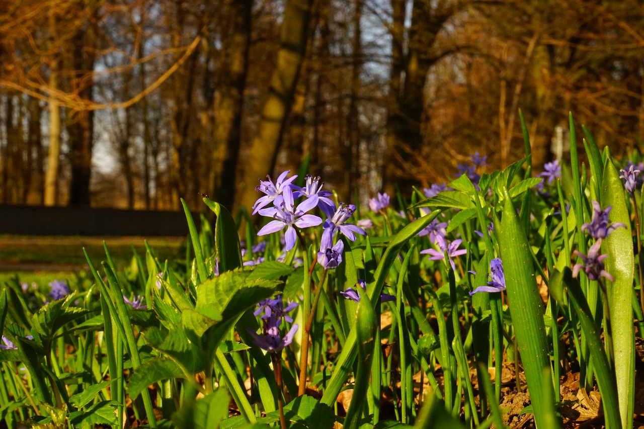 回顾五月之花,1996年电视剧大全集精彩瞬间
