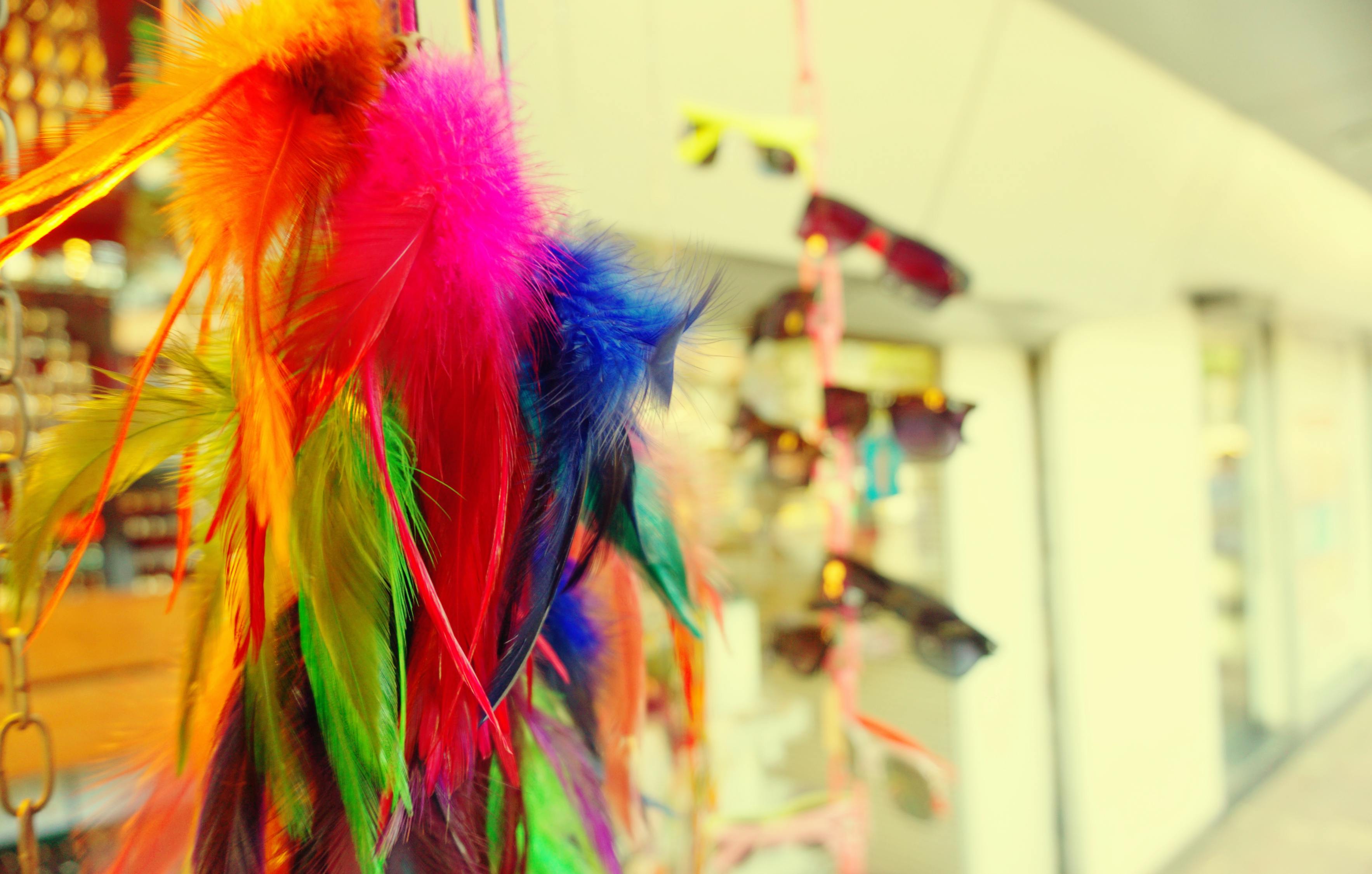 五月飞马股票，市场新宠与挑战的博弈