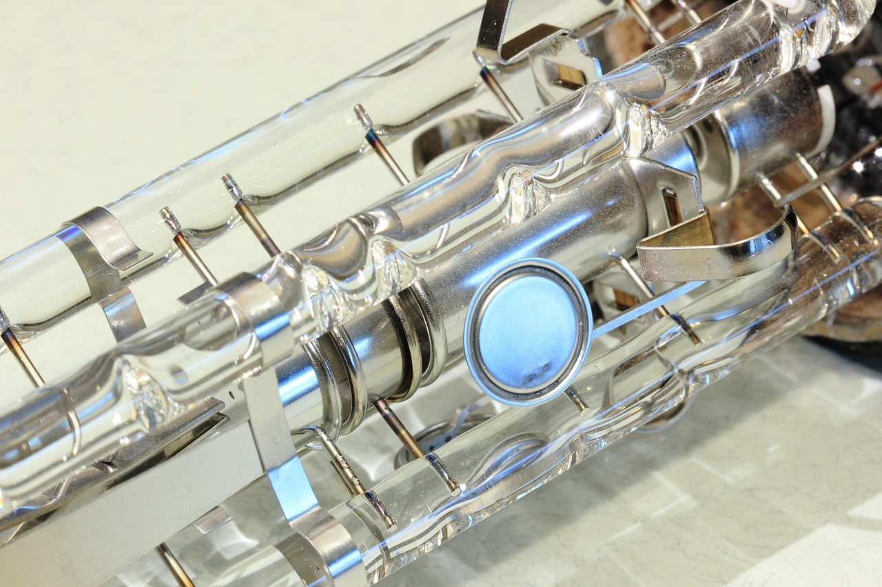 五月大豆行情解析，市场动态与深度剖析