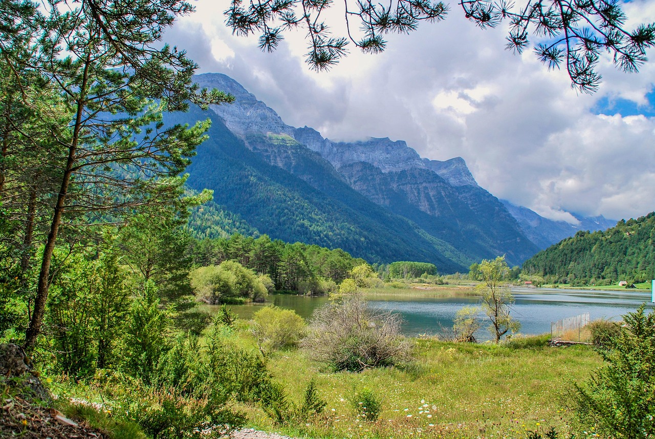孙娇娇五月风华最新动态,绽放时刻