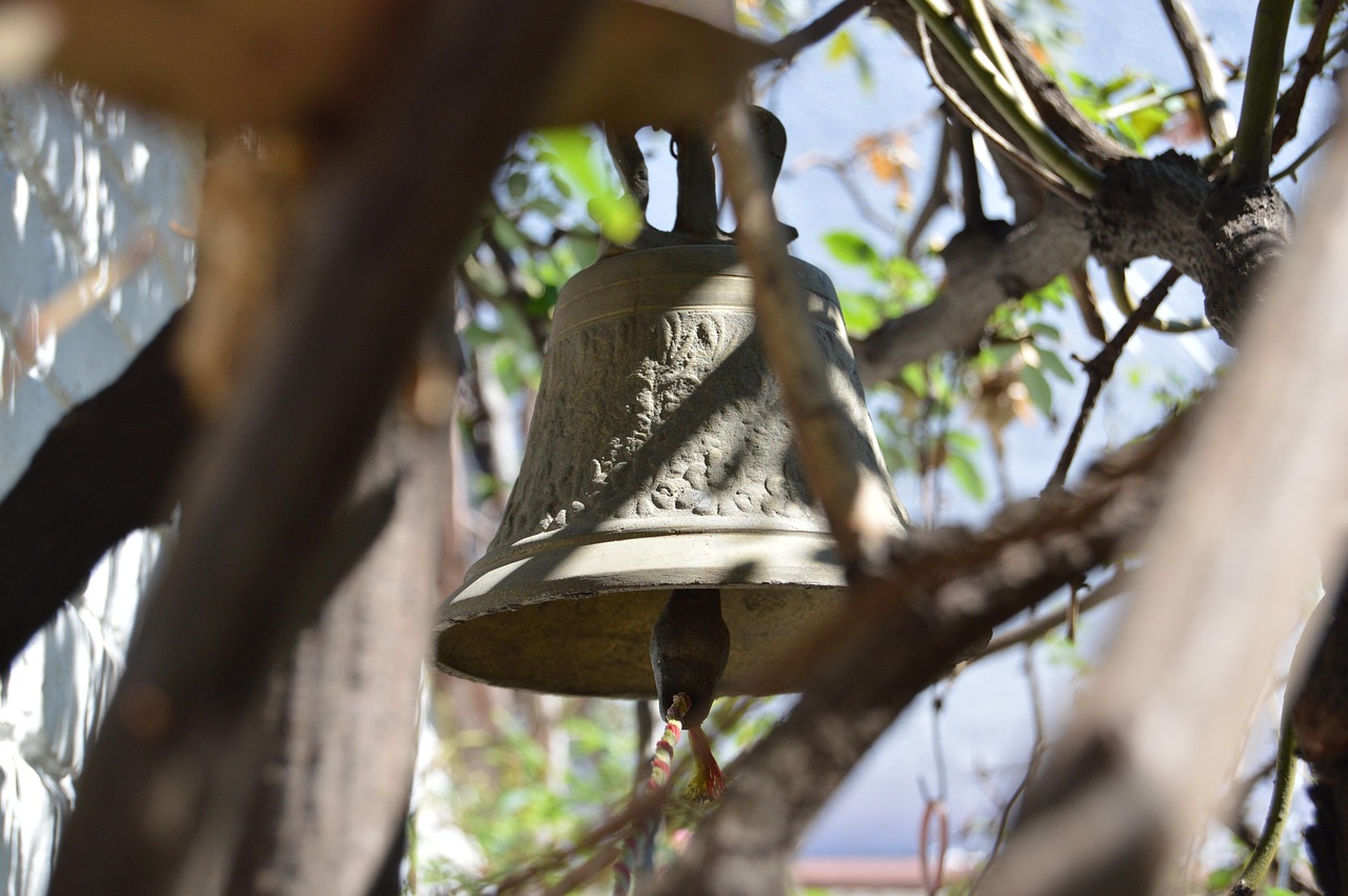 揭秘五月天然琥珀市场行情,价格走势与市场动态分析