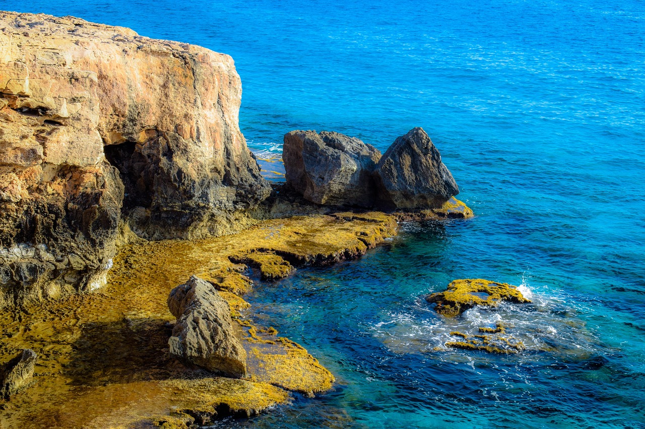 揭秘五月沃华医药最新动态,最新消息一览