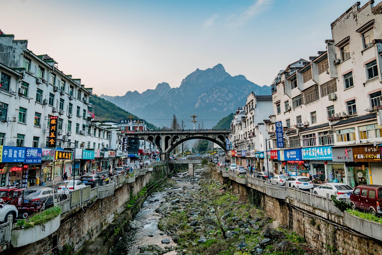 五月广东生猪价格动态,最新走势分析与市场动态报告