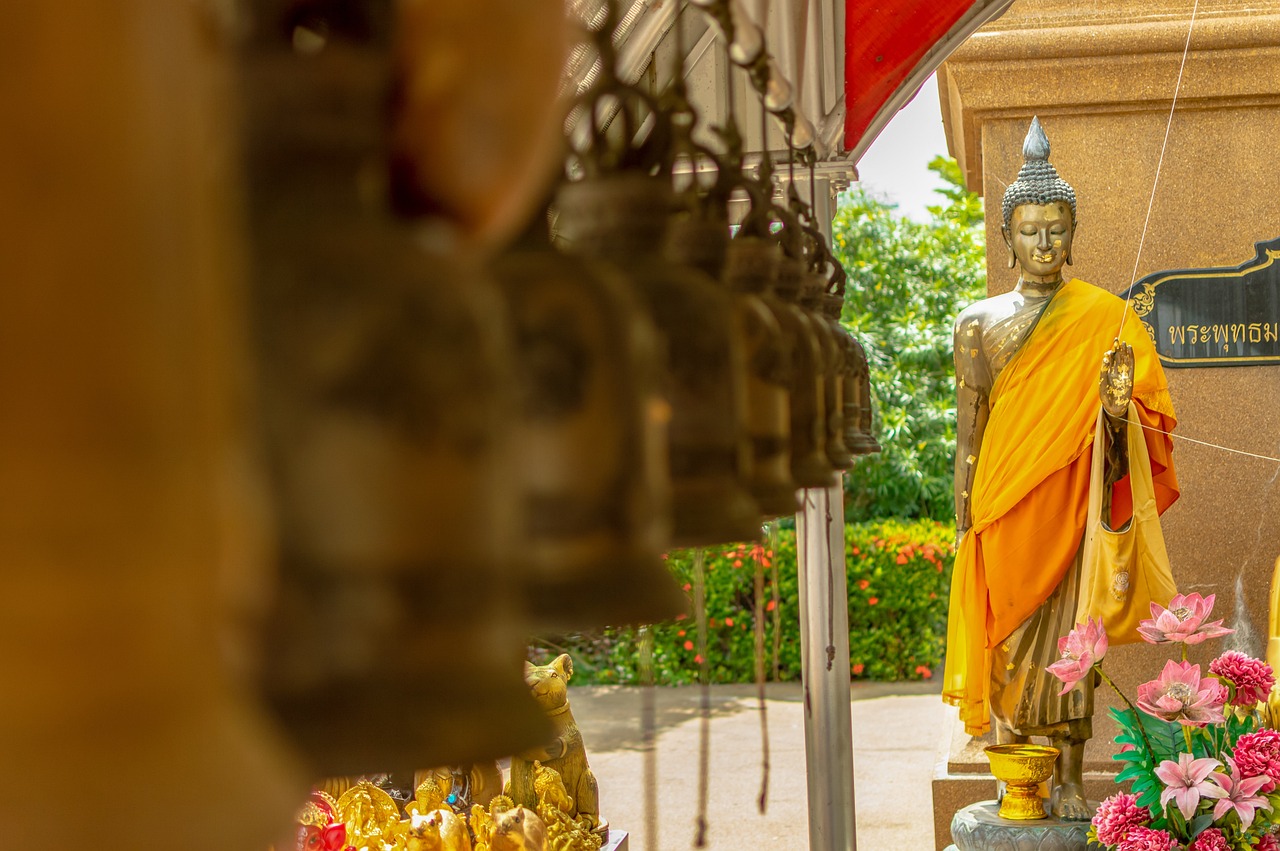 五月古装电视剧推荐，历史与文化的魅力展现，古装剧抢先看！