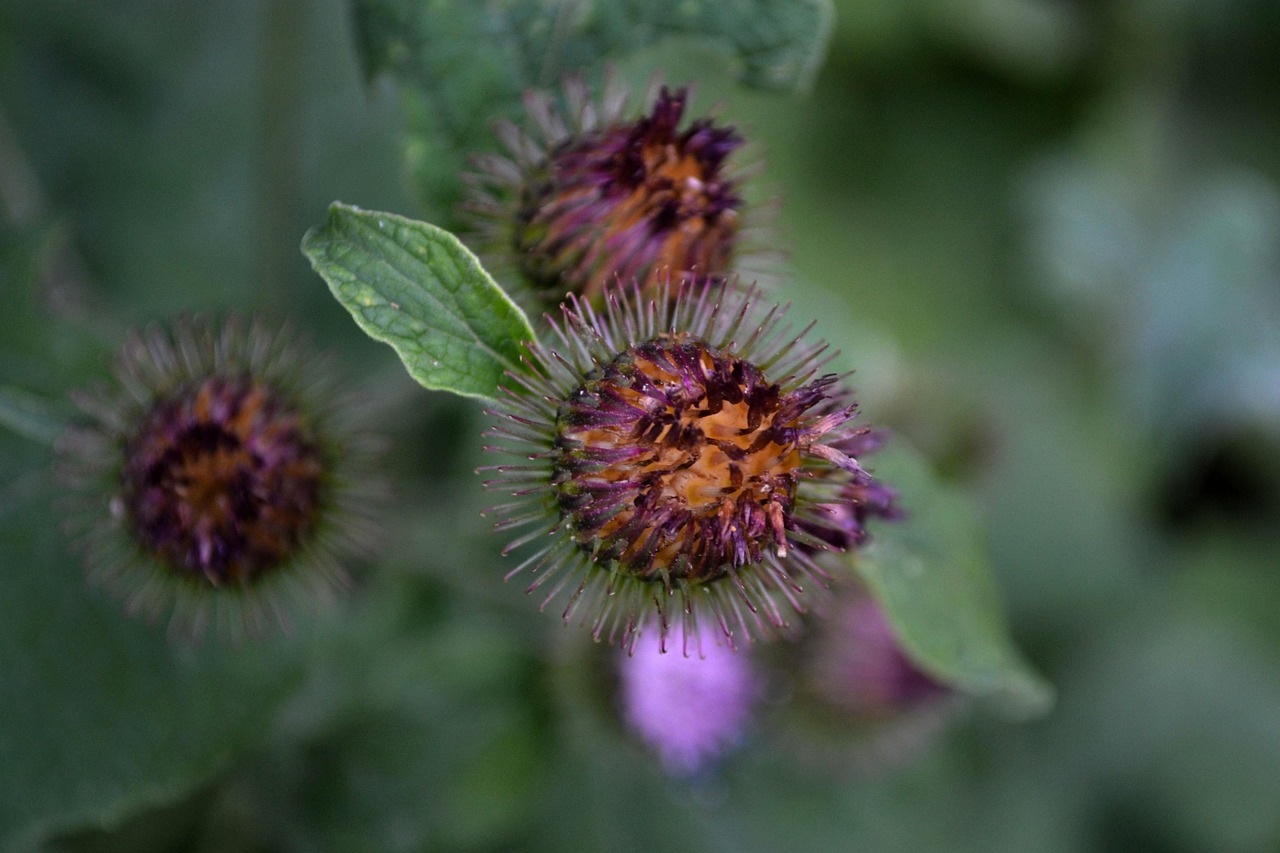 五月淮安区宋集乡最新资讯报道,五月新动态揭秘宋集乡的最新发展