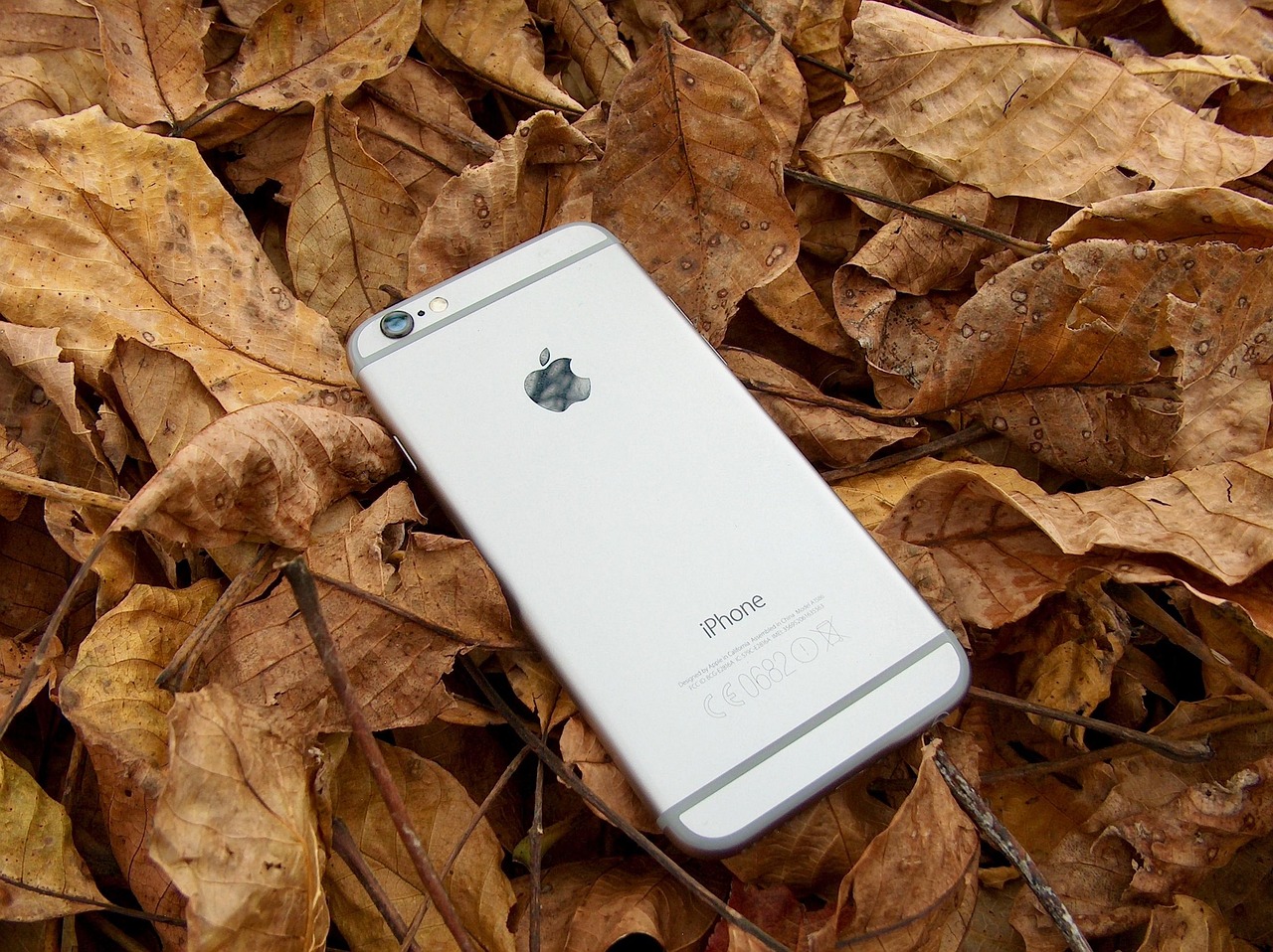 苹果iPhone 6五月上市时的价格分析与揭秘