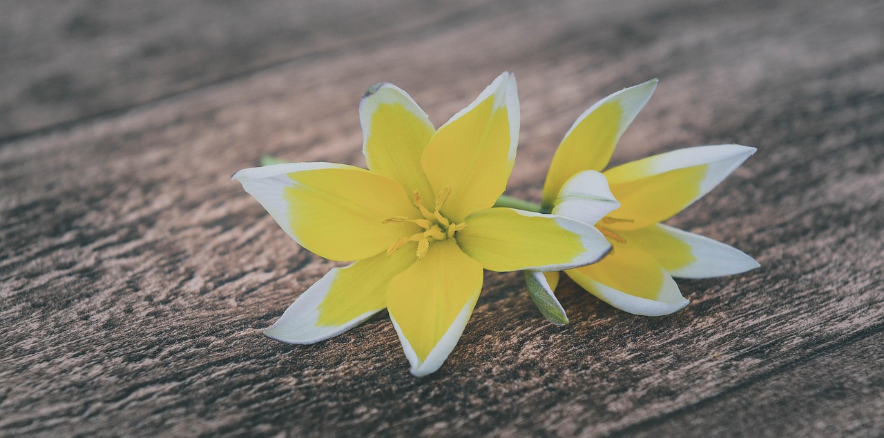 五月最新解禁资讯概览，最新解禁动态一网打尽