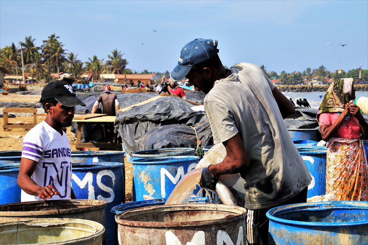 特战之王五月热血战场新篇章揭秘