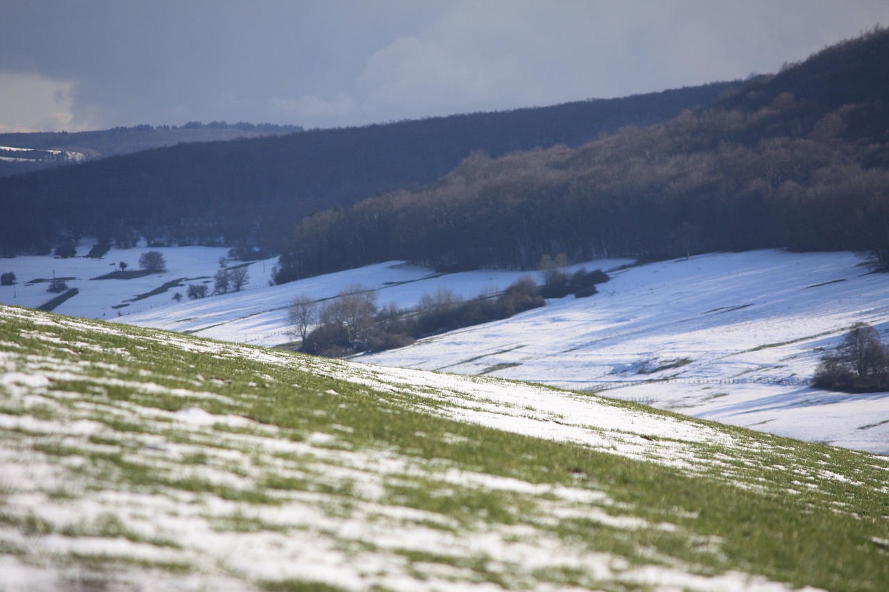 法国五月最新通告，新政策、动态展望与未来预测