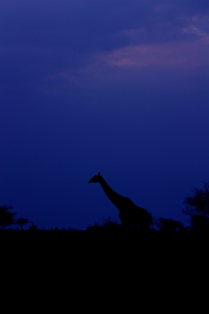 5月梁游最新动态,五月梁游新动态，探索未知，启程新的冒险之旅